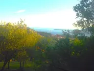 Prodaja, plac, 1200m², Podi, Herceg Novi - image 2