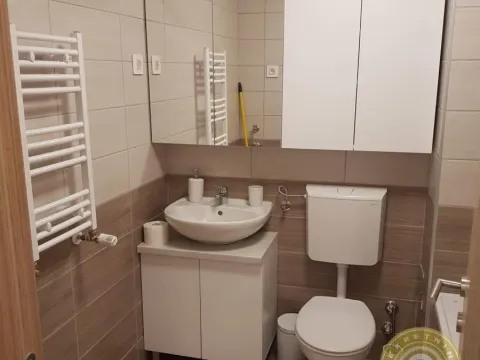 Izdavanje, dvosoban stan, 45m², Jugovićevo, Novi Sad Sve Podlokacije - image 7