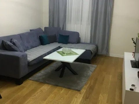 Rent, one bedroom apartment, 49m², Central Point, Podgorica - image 1
