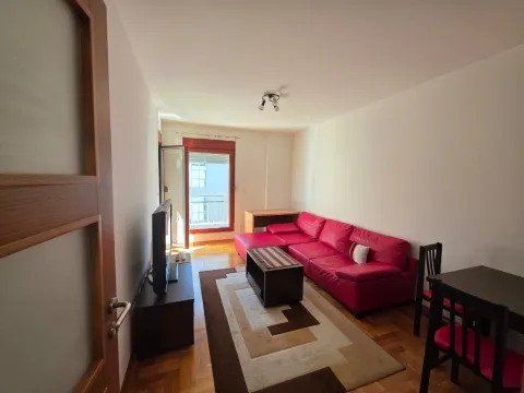 Izdavanje, jednosoban stan, 40m², Pobrežje, Podgorica - image 7