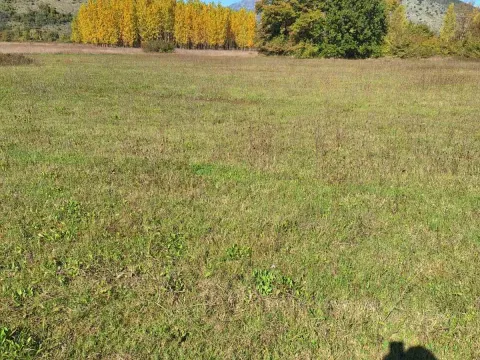 Prodaja, plac, 9000m², Podgorica, Crna Gora - image 5