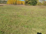 Sale, land lot, 9000m², Podgorica, Crna Gora - image 5