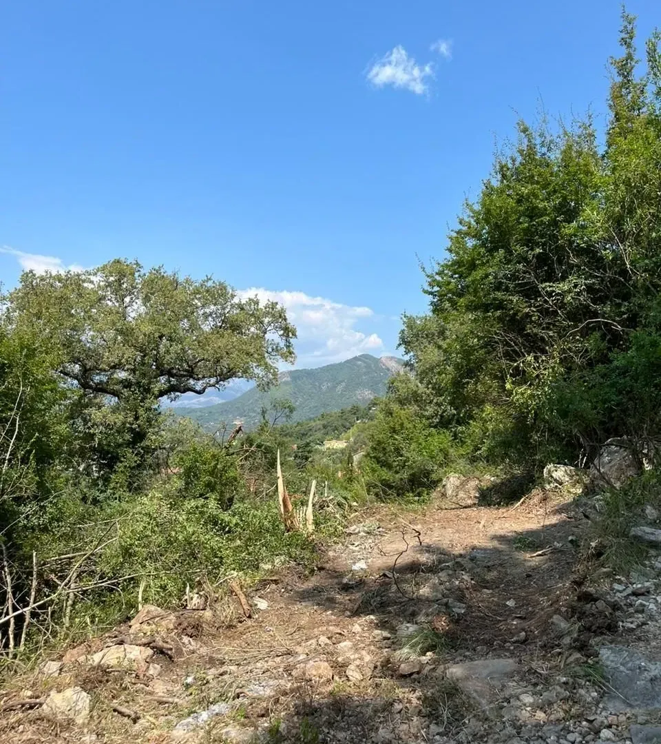 Prodaja, plac, 758m², Kavač, Kotor