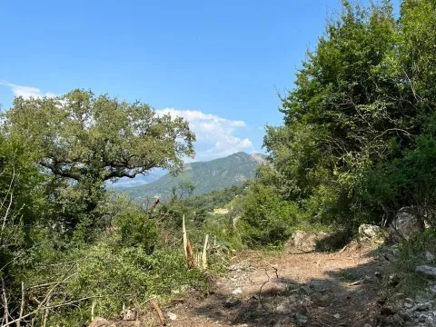 Prodaja, plac, 758m², Kavač, Kotor - image 2