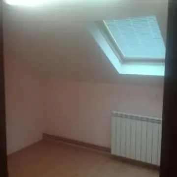 Izdavanje, poslovni prostor, 800m², Zemun Sve Podlokacije, Beograd - image 11