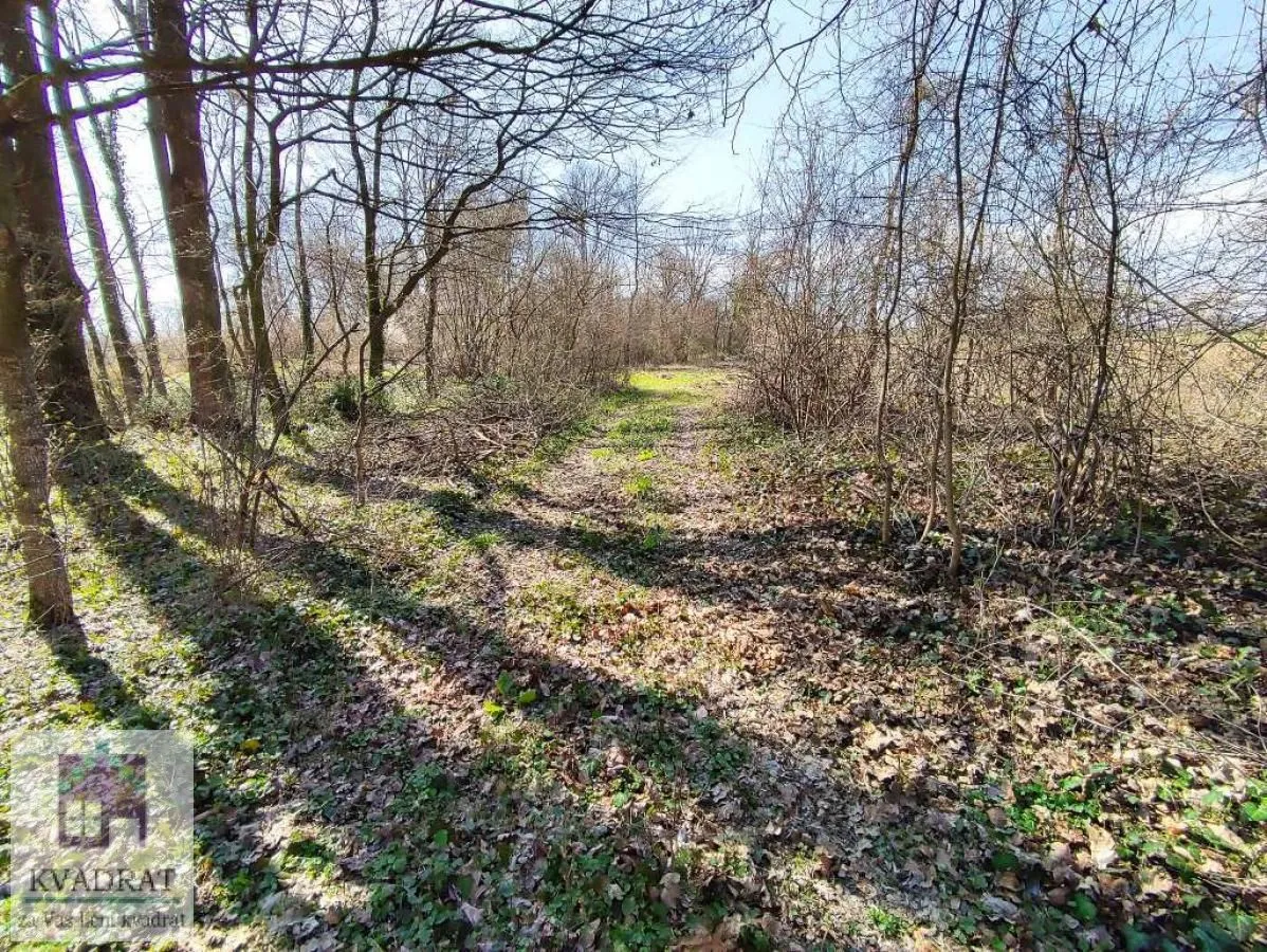 Prodaja, plac, 18200m², Brgule, Ub