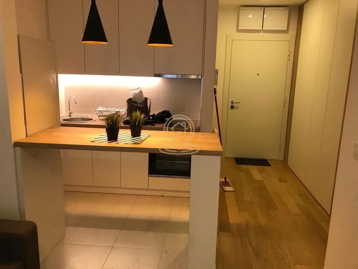 Izdavanje, dvosoban stan, 35m², Južni Bulevar, Vračar Sve Podlokacije