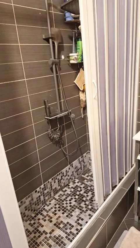 A shower cabin with dark wall tiles and a mosaic floor.