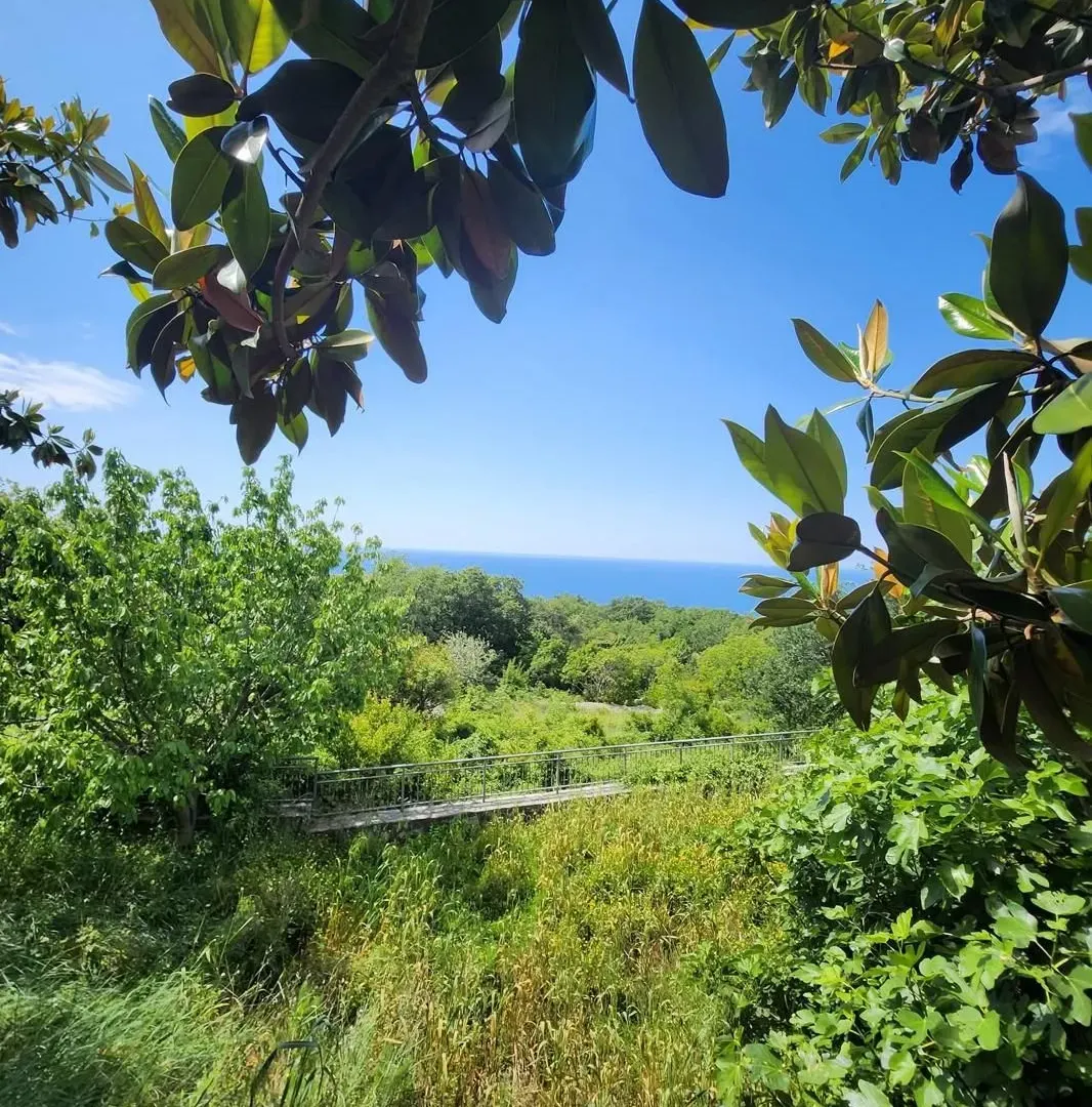 Sale, house, 145m², Blizikuće, Budva
