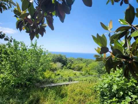 Prodaja, kuća, 145m², Blizikuće, Budva - image 12