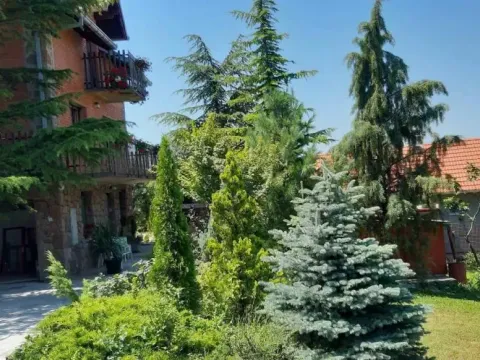 Prodaja, kuća, 190m², Petrovaradin, Novi Sad - image 8