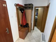 Izdavanje, jednosoban stan, 35m², Grbavica, Novi Sad Sve Podlokacije - image 14