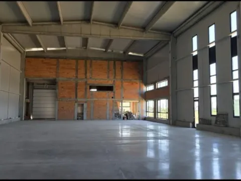 Izdavanje, poslovni prostor, 1220m², Čenej, Novi Sad Sve Podlokacije - image 6