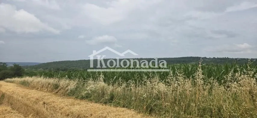 Prodaja, plac, 7400m², Nemenikuće, Sopot
