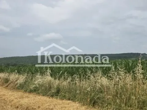 Prodaja, plac, 7400m², Nemenikuće, Sopot - image 4