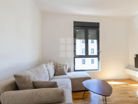 Rent, studio apartment, 21m², Tološi, Podgorica - image 2