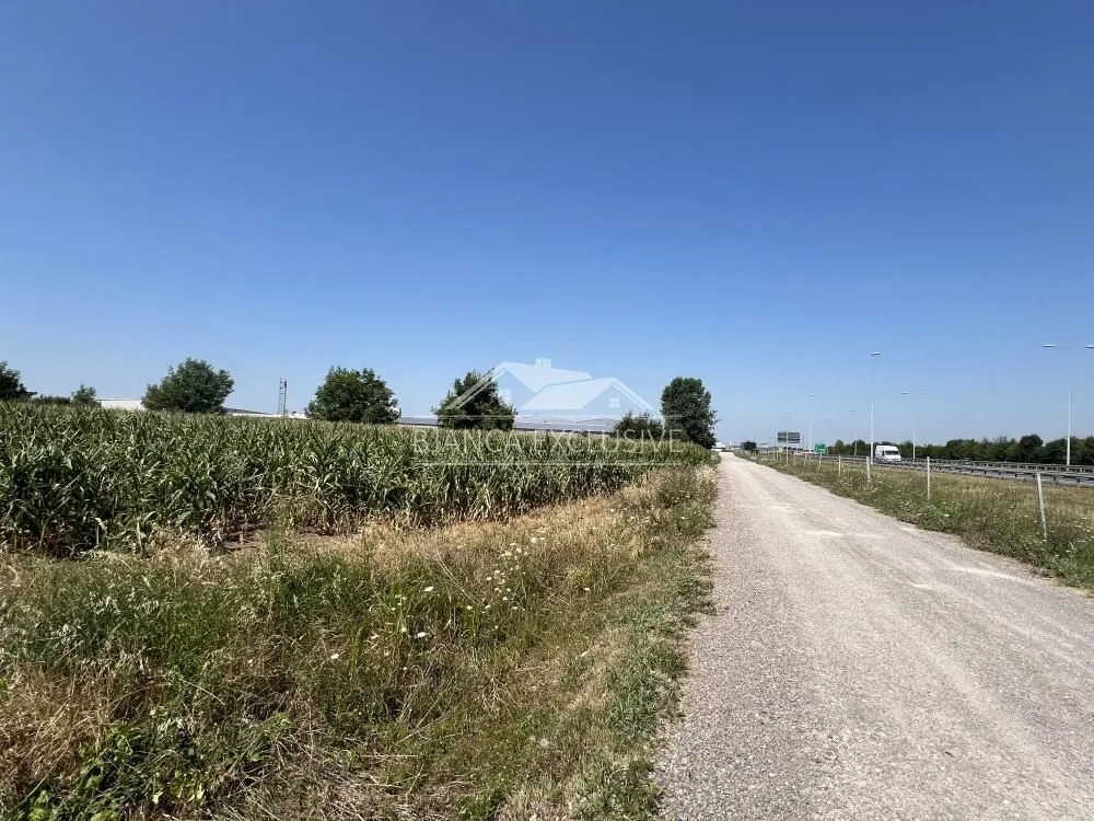 Prodaja, plac, 12000m², Dobanovci, Surčin