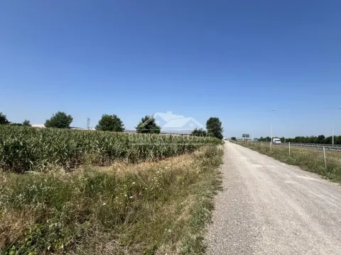 Sale, land lot, 12000m², Dobanovci, Surčin - image 5