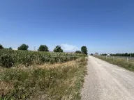 Prodaja, plac, Dobanovci, Surčin - image 5