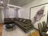 Izdavanje, dvosoban stan, 70m², Central Point, Podgorica - image 2