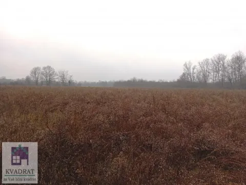 Sale, land lot, 300m², Konatice, Obrenovac - image 5