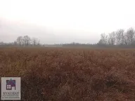 Prodaja, plac, 300m², Konatice, Obrenovac - image 5