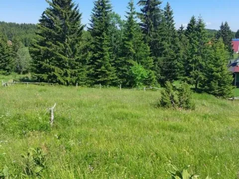 Prodaja, plac, 600m², Golija, Ivanjica - image 5