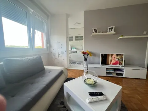 Rent, studio apartment, 29m², Bul Kralja Aleksandra, Zvezdara Sve Podlokacije - image 8