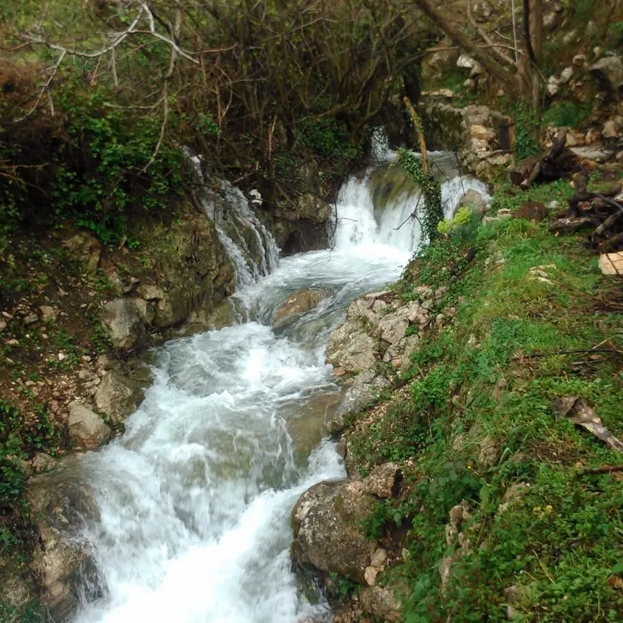Sale, house, 72m², Buljarica, Budva