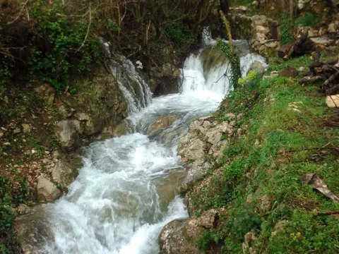 Prodaja, kuća, 72m², Buljarica, Budva - image 5