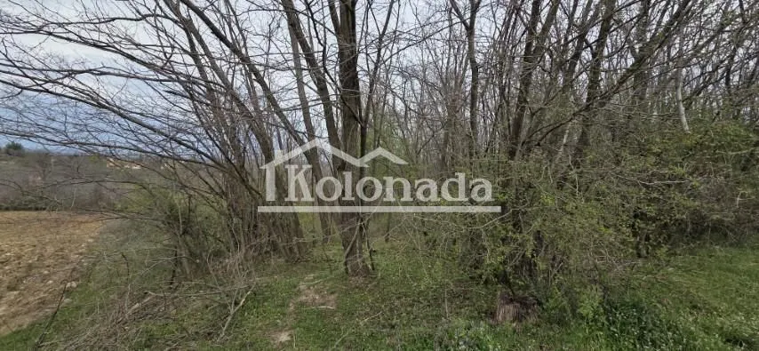 Sale, land lot, 3329m², Nemenikuće, Sopot