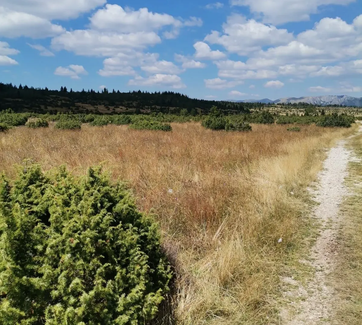 Prodaja, plac, 36000m², Žabljak, Crna Gora