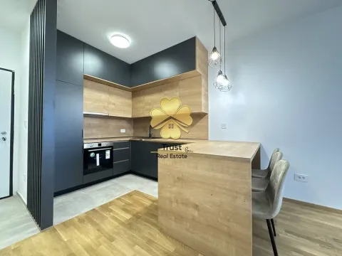 Izdavanje, jednosoban stan, 50m², Stari Aerodrom, Podgorica - image 6