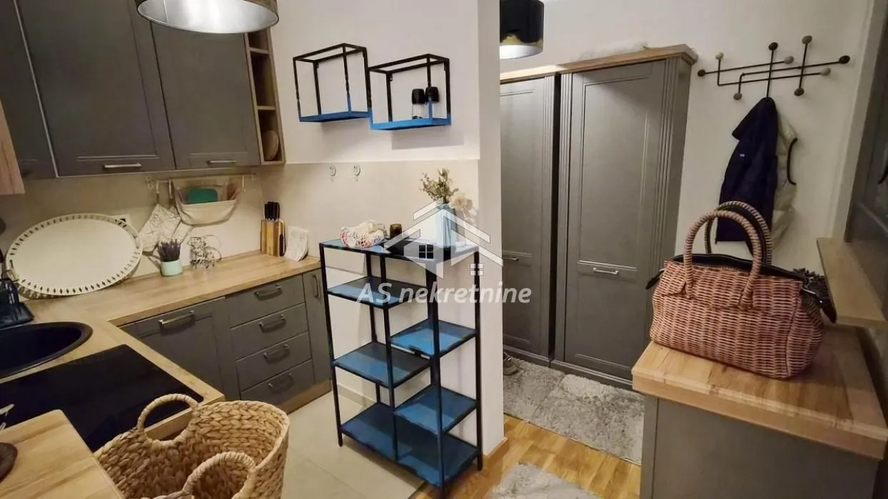 Rent, two bedroom apartment, 48m², Južni Bulevar, Vračar Sve Podlokacije