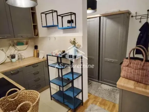 Rent, two bedroom apartment, 48m², Južni Bulevar, Vračar Sve Podlokacije - image 9