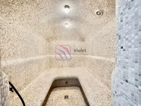 Unutrašnjost parnog kupatila obloženog mozaik pločicama sa svodnim plafonom. - image 18