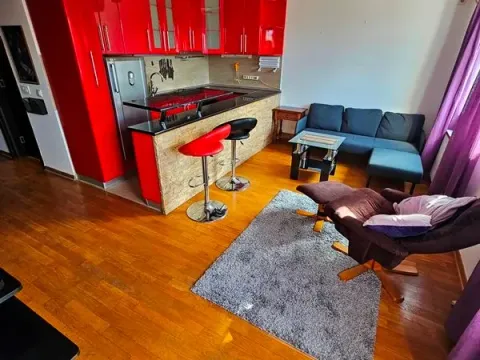 Izdavanje, jednosoban stan, 42m², Banovo Brdo, Beograd - image 2