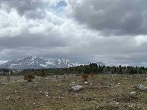 Prodaja, plac, 3983m², Žabljak, Crna Gora - image 3