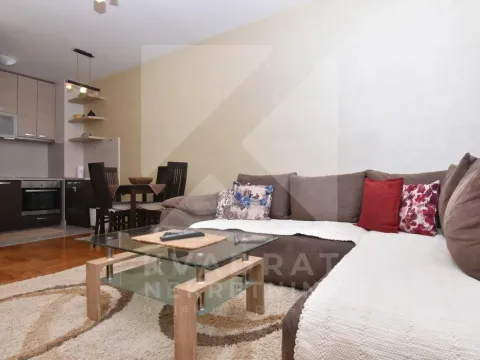 Izdavanje, jednosoban stan, 45m², Tuški Put, Podgorica - image 2