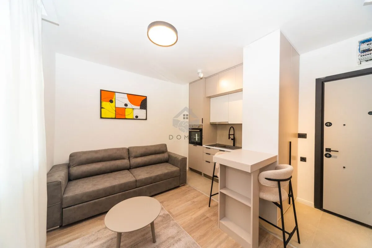 Izdavanje, stan, 24m², Zabjelo, Podgorica