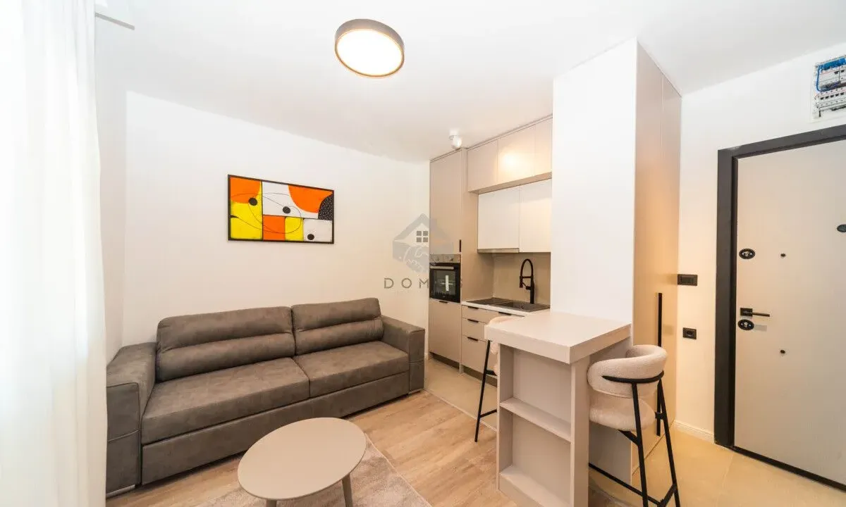 Izdavanje, stan, 24m², Zabjelo, Podgorica