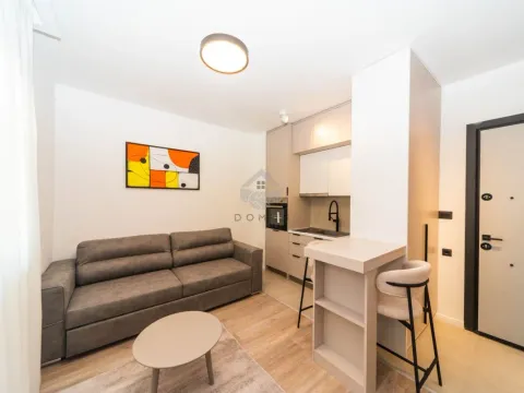 Izdavanje, stan, 24m², Zabjelo, Podgorica - image 1