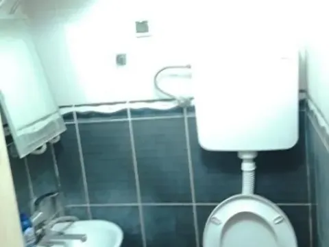 Prodaja, jednosoban stan, 30m², Galenika, Beograd - image 5