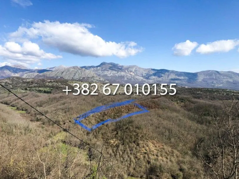 Sale, land lot, 18969m², Velja Gorana, Bar