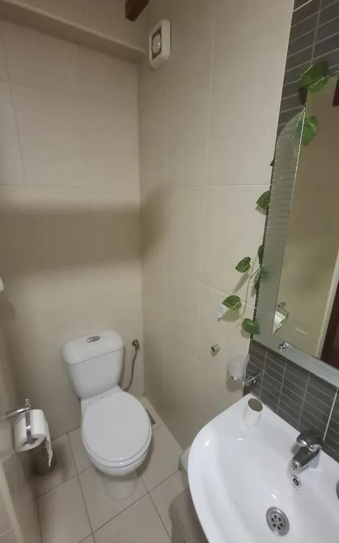 Rent, studio apartment, 28m², Grbavica, Novi Sad Sve Podlokacije