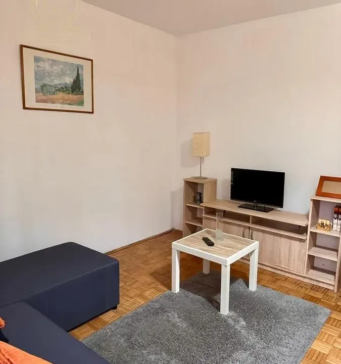 Izdavanje, dvosoban stan, 45m², Višnjička Banja, Palilula Sve Podlokacije