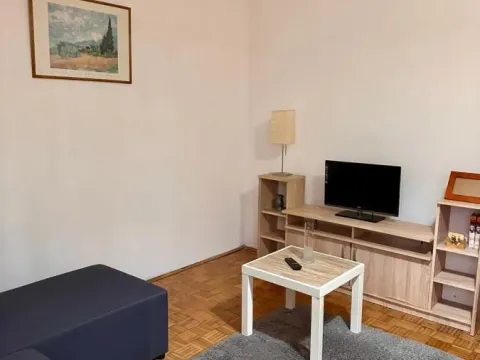 Izdavanje, dvosoban stan, 45m², Višnjička Banja, Palilula Sve Podlokacije