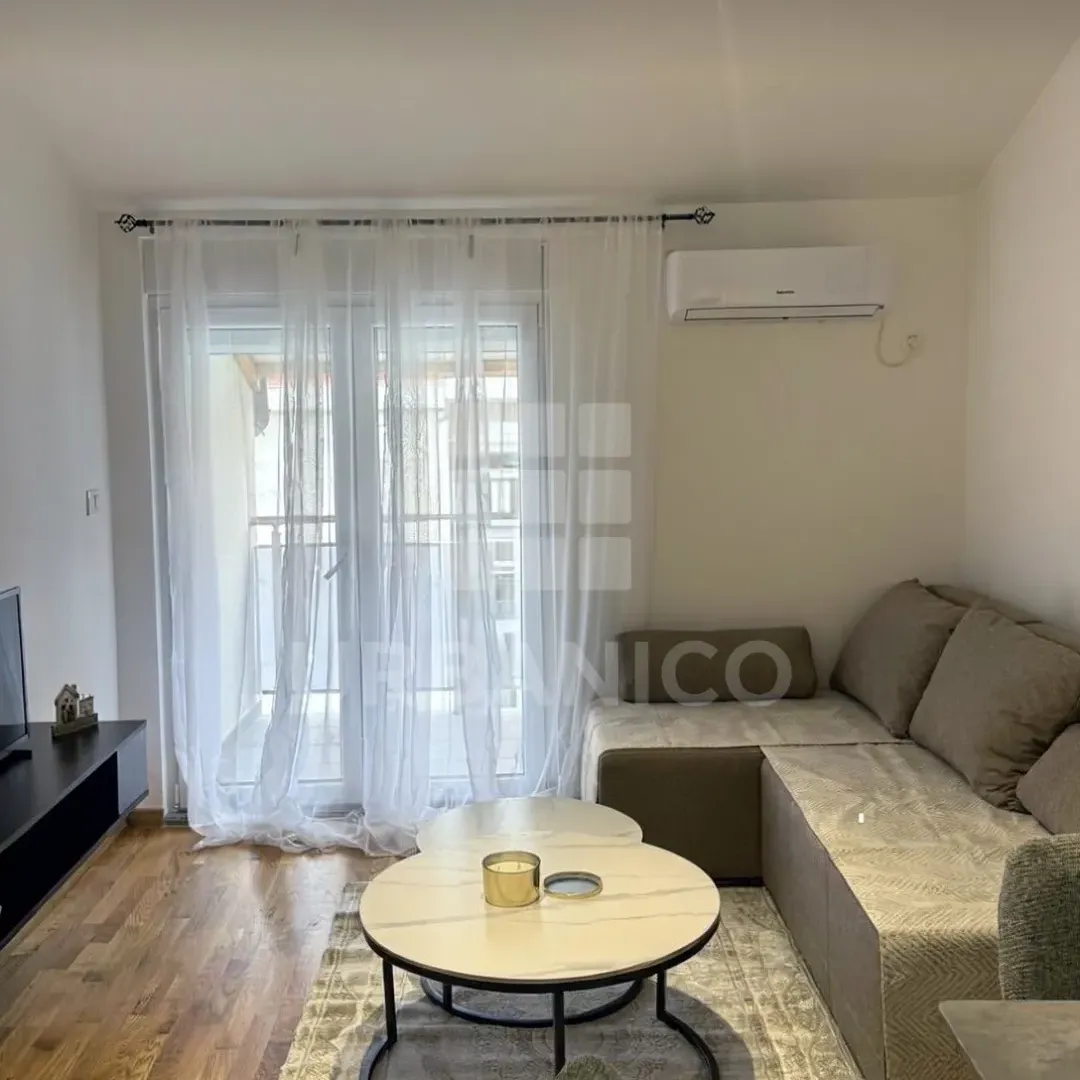 Rent, one bedroom apartment, 42m², Zagorič, Podgorica