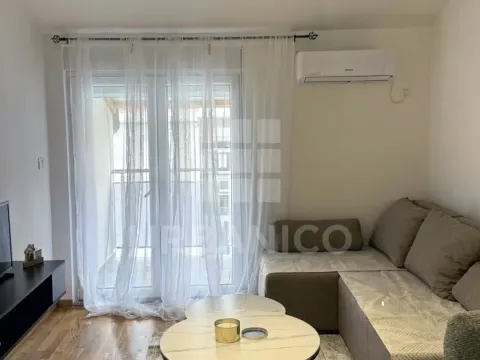 Rent, one bedroom apartment, 42m², Zagorič, Podgorica - image 2