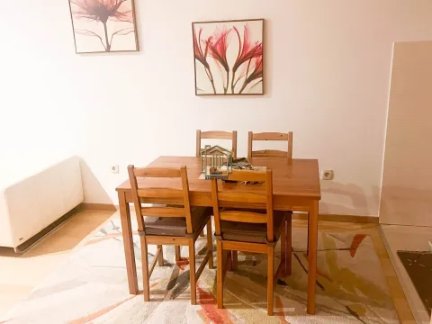 Izdavanje, jednosoban stan, 47m², City Kvart, Podgorica - image 4